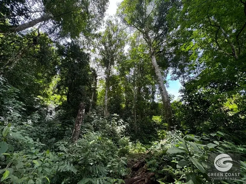 165-Acre Dominical Ocean-View Farm with Natural Springs, Waterfalls, and Riverfront — view 24, Dominical, Osa, Costa Rica