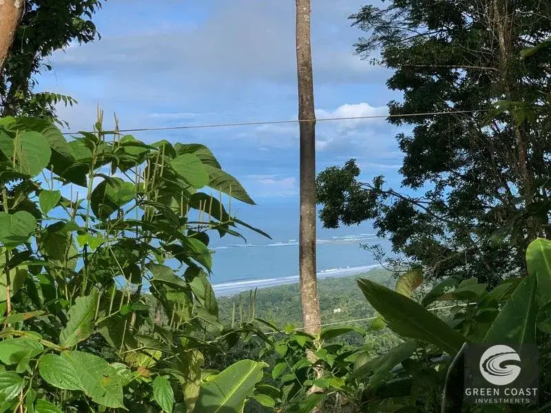 165-Acre Dominical Ocean-View Farm with Natural Springs, Waterfalls, and Riverfront — view 31, Dominical, Osa, Costa Rica