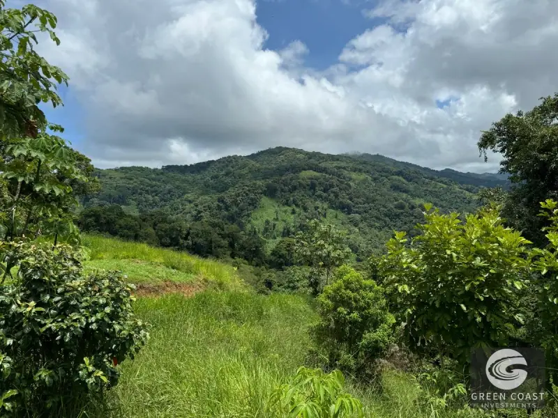 165-Acre Dominical Ocean-View Farm with Natural Springs, Waterfalls, and Riverfront — view 53, Dominical, Osa, Costa Rica
