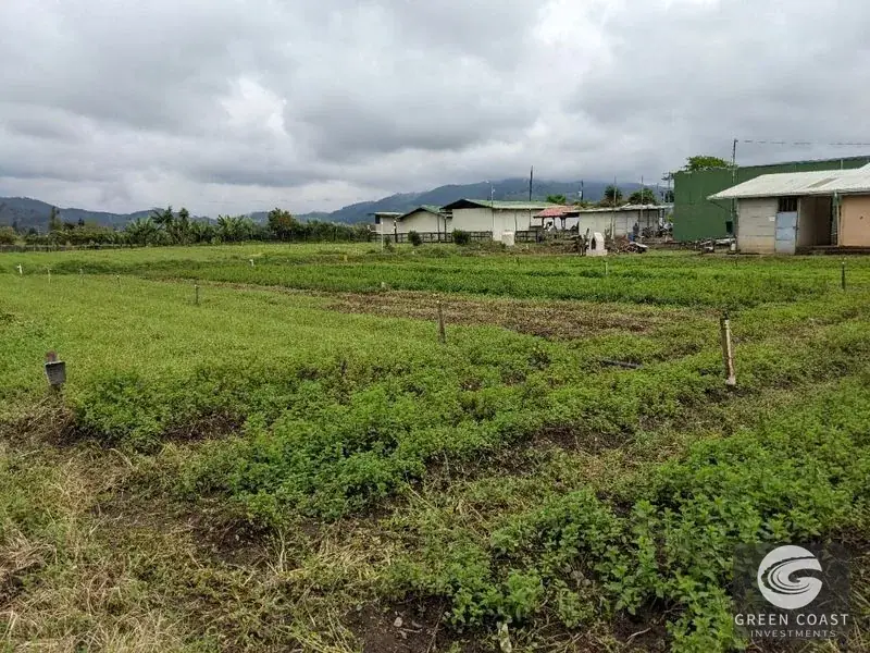 Prime Development Land & Farm Near New Cartago Hospital — view 5, El Tejar, El Tejar, Costa Rica