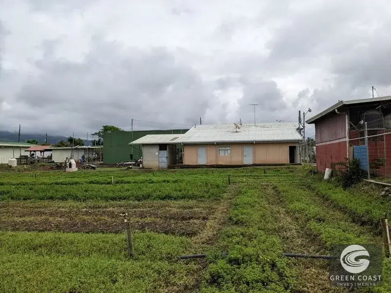 Prime Development Land & Farm Near New Cartago Hospital — view 6, El Tejar, El Tejar, Costa Rica