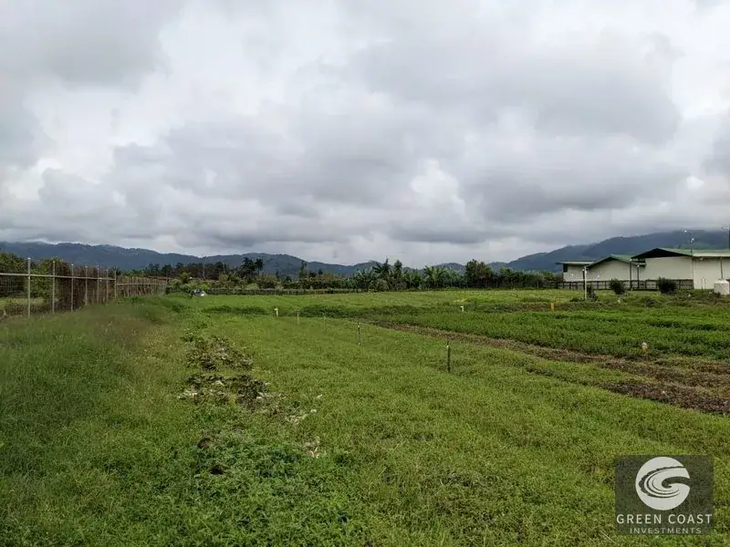 Prime Development Land & Farm Near New Cartago Hospital — view 8, El Tejar, El Tejar, Costa Rica