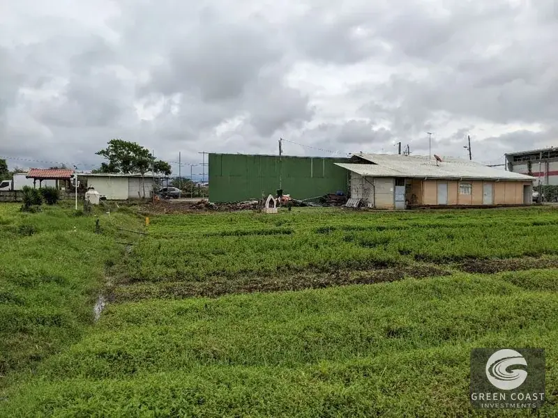 Prime Development Land & Farm Near New Cartago Hospital — view 12, El Tejar, El Tejar, Costa Rica