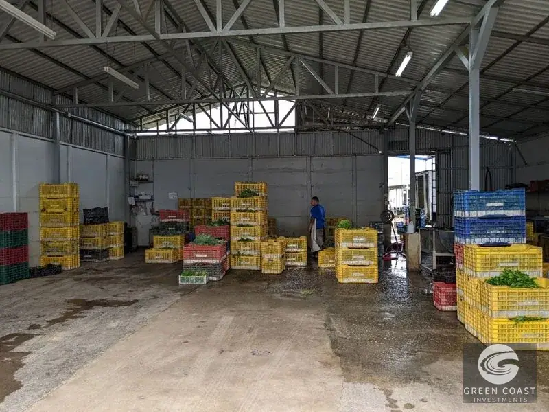 Prime Development Land & Farm Near New Cartago Hospital — view 19, El Tejar, El Tejar, Costa Rica