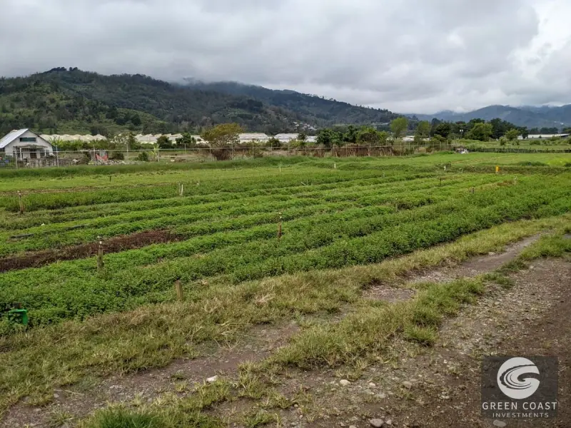Prime Development Land & Farm Near New Cartago Hospital — view 31, El Tejar, El Tejar, Costa Rica
