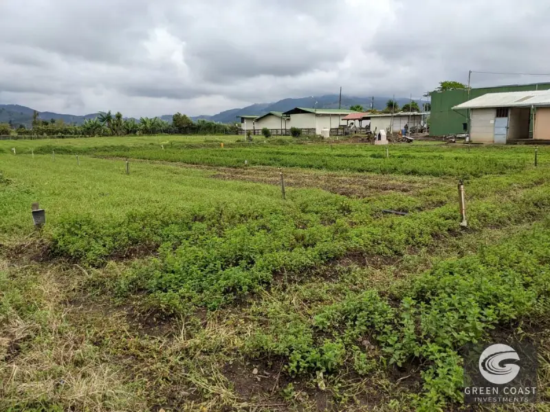 Prime Development Land & Farm Near New Cartago Hospital — view 33, El Tejar, El Tejar, Costa Rica