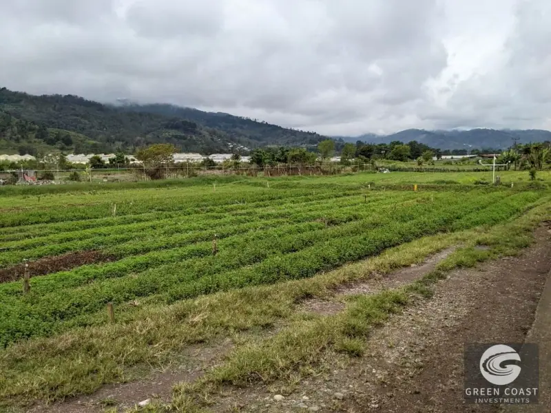 Prime Development Land & Farm Near New Cartago Hospital — view 34, El Tejar, El Tejar, Costa Rica