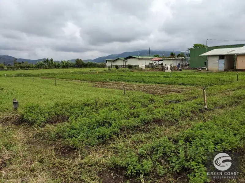 Prime Development Land & Farm Near New Cartago Hospital — view 35, El Tejar, El Tejar, Costa Rica