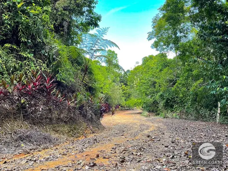 181-Acre Ocean View Eco-Paradise in Ojochal with 5 Prime Building Sites — view 20, Ojochal, Costa Rica
