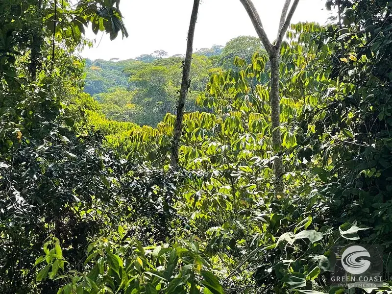 181-Acre Ocean View Eco-Paradise in Ojochal with 5 Prime Building Sites — view 26, Ojochal, Costa Rica