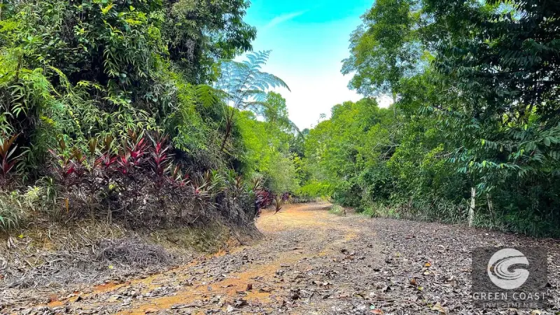 181-Acre Ocean View Eco-Paradise in Ojochal with 5 Prime Building Sites — view 54, Ojochal, Costa Rica