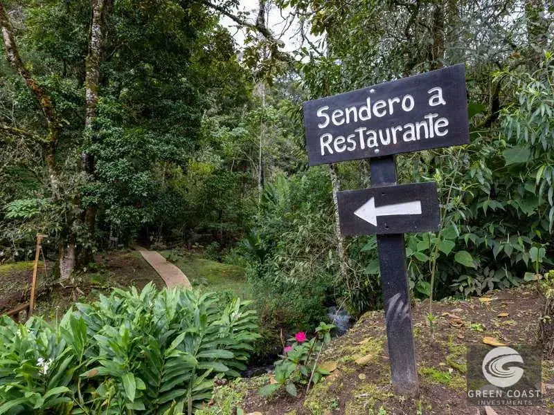 High-Altitude Eco Lodge & Wellness Retreat in Dota: 12-Suite Mountain Sanctuary with Panoramic Views — view 10, Copey, Dota, Costa Rica