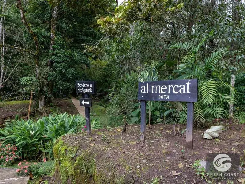 High-Altitude Eco Lodge & Wellness Retreat in Dota: 12-Suite Mountain Sanctuary with Panoramic Views — view 18, Copey, Dota, Costa Rica