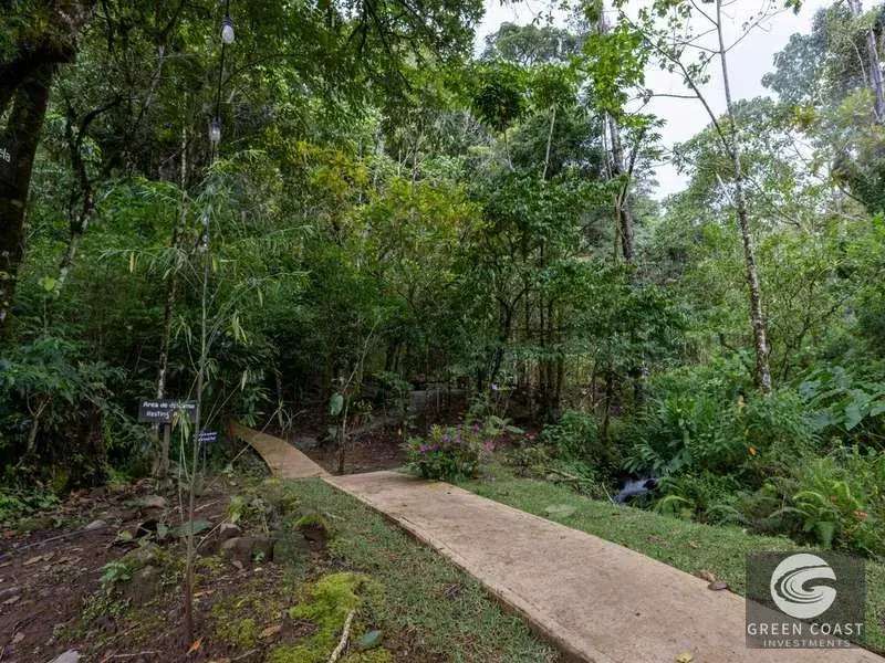 High-Altitude Eco Lodge & Wellness Retreat in Dota: 12-Suite Mountain Sanctuary with Panoramic Views — view 20, Copey, Dota, Costa Rica