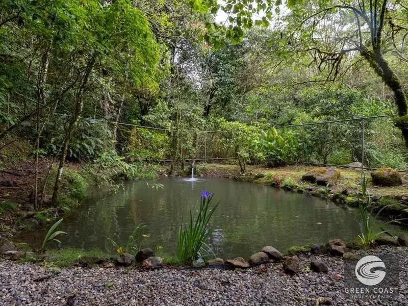 High-Altitude Eco Lodge & Wellness Retreat in Dota: 12-Suite Mountain Sanctuary with Panoramic Views — view 22, Copey, Dota, Costa Rica