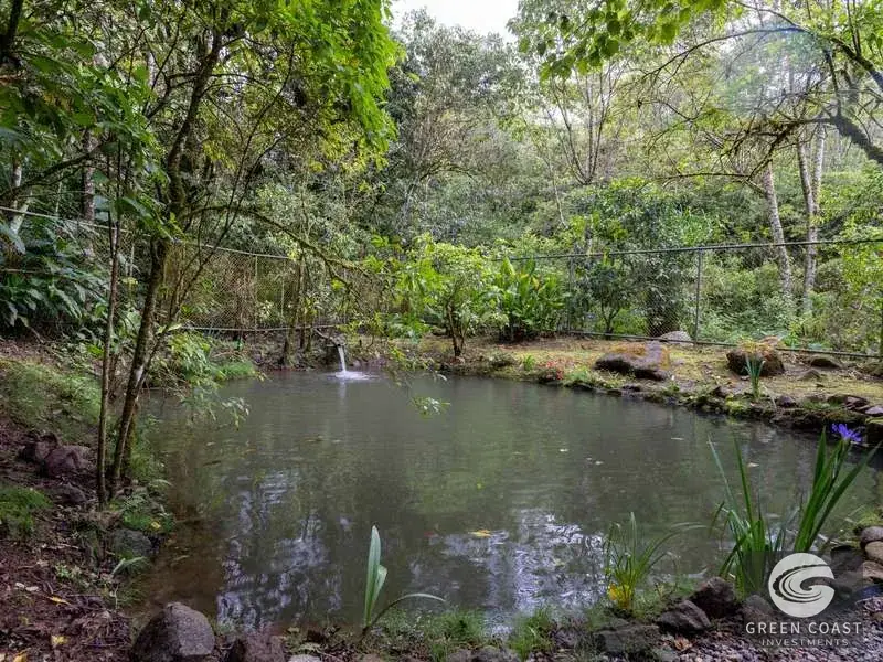 High-Altitude Eco Lodge & Wellness Retreat in Dota: 12-Suite Mountain Sanctuary with Panoramic Views — view 23, Copey, Dota, Costa Rica