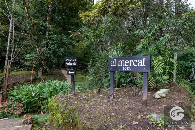High-Altitude Eco Lodge & Wellness Retreat in Dota: 12-Suite Mountain Sanctuary with Panoramic Views — view 52, Copey, Dota, Costa Rica