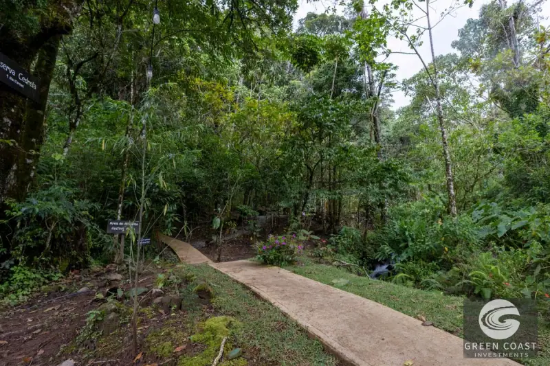 High-Altitude Eco Lodge & Wellness Retreat in Dota: 12-Suite Mountain Sanctuary with Panoramic Views — view 54, Copey, Dota, Costa Rica