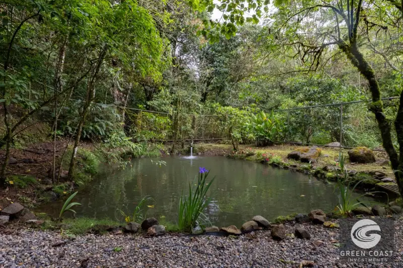 High-Altitude Eco Lodge & Wellness Retreat in Dota: 12-Suite Mountain Sanctuary with Panoramic Views — view 56, Copey, Dota, Costa Rica