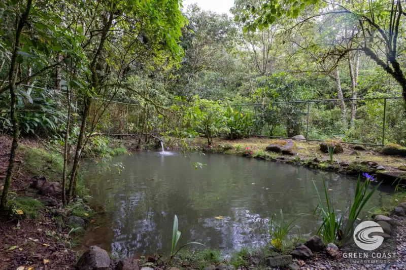 High-Altitude Eco Lodge & Wellness Retreat in Dota: 12-Suite Mountain Sanctuary with Panoramic Views — view 57, Copey, Dota, Costa Rica