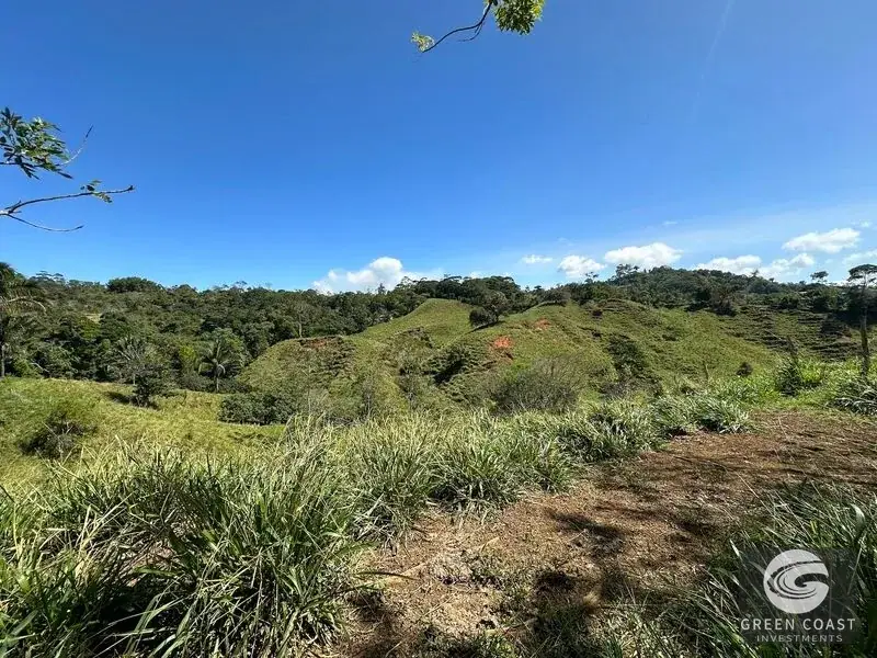45-Hectare Pacuarito Valley Farm with Rivers & Primary Forest in Perez Zeledon — view 14, Baru, Perez Zeledon, Costa Rica