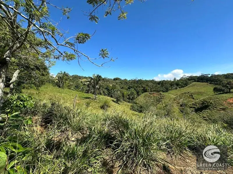 45-Hectare Pacuarito Valley Farm with Rivers & Primary Forest in Perez Zeledon — view 16, Baru, Perez Zeledon, Costa Rica