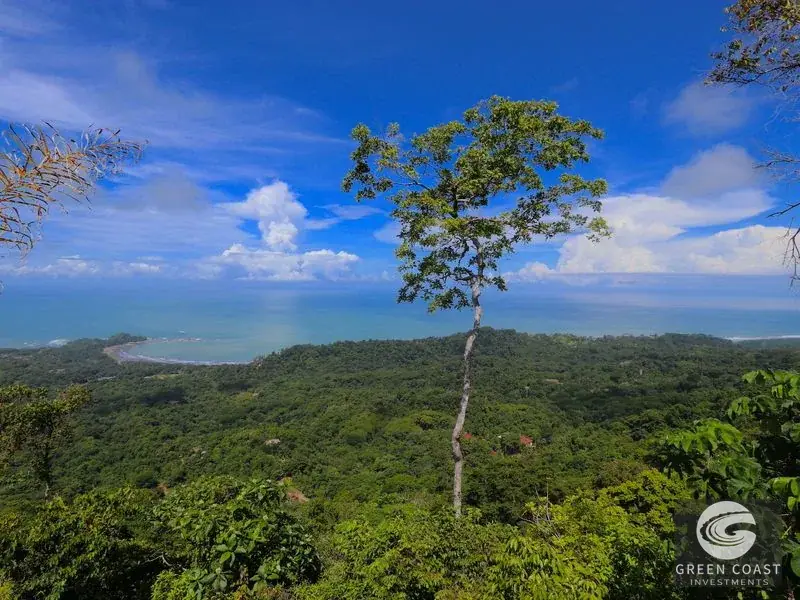 Dominical Ocean-View Estate: 5 Acres with Starter Home, Dual Building Lots & Panoramic Vistas — view 3, Bahía Ballena, Osa, Costa Rica