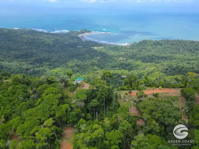 Dominical Ocean-View Estate: 5 Acres with Starter Home, Dual Building Lots & Panoramic Vistas — view 9, Bahía Ballena, Osa, Costa Rica