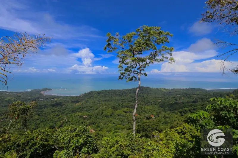 Dominical Ocean-View Estate: 5 Acres with Starter Home, Dual Building Lots & Panoramic Vistas — view 35, Bahía Ballena, Osa, Costa Rica