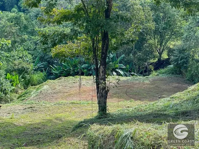 Luxury Jungle-View Estate with Infinity Pool & Development Lot Near Uvita — view 14, Uvita, Uvita, Costa Rica