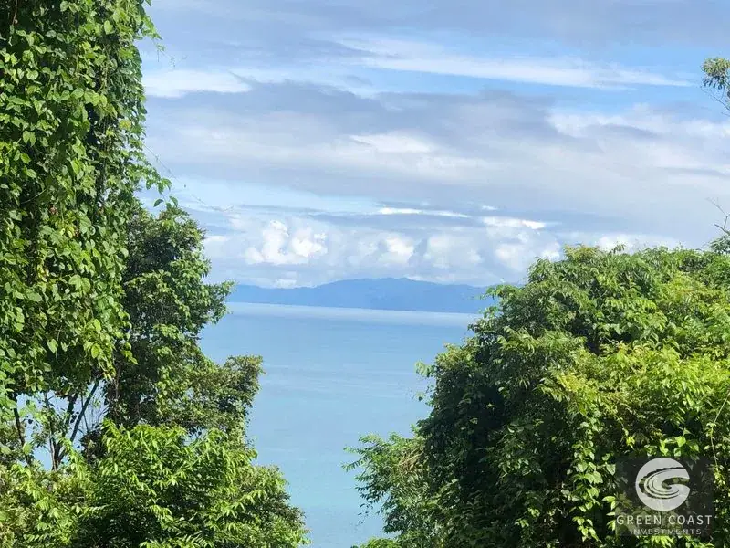 Prime 105-Acre Pavones Beachfront Development Land with Legendary Surf Views — view 2, Pavón, Golfito, Costa Rica