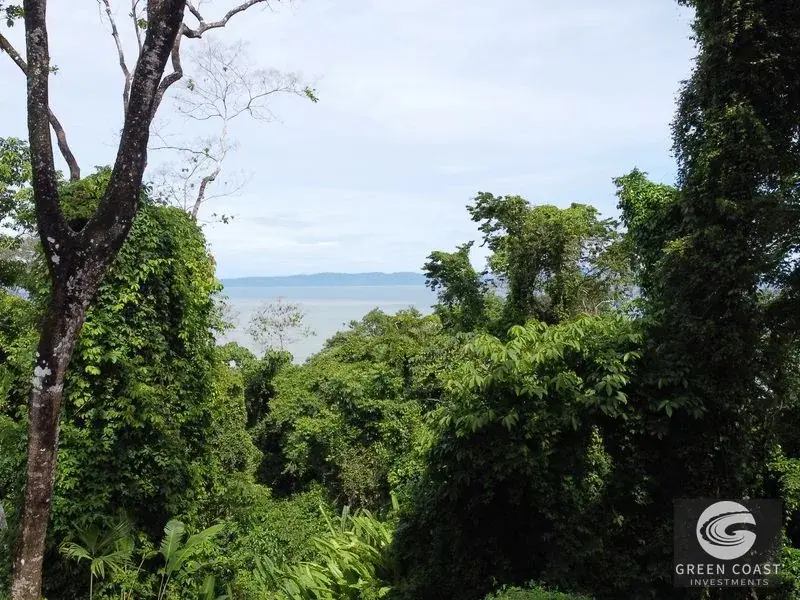 Prime 105-Acre Pavones Beachfront Development Land with Legendary Surf Views — view 4, Pavón, Golfito, Costa Rica