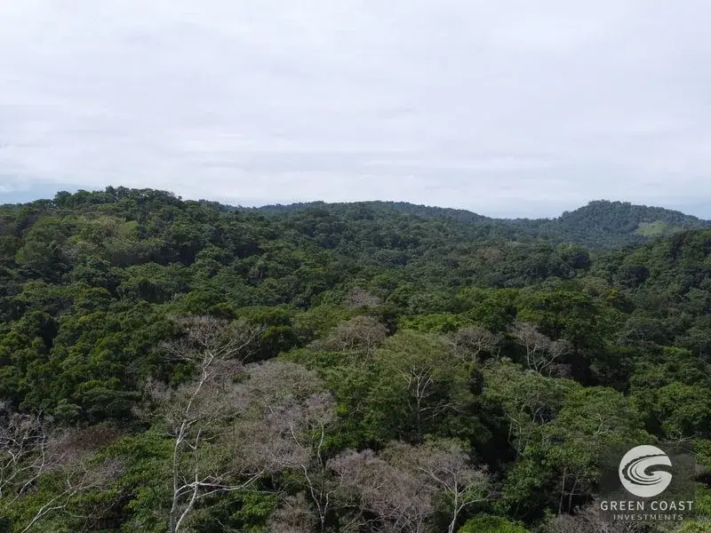 Prime 105-Acre Pavones Beachfront Development Land with Legendary Surf Views — view 7, Pavón, Golfito, Costa Rica