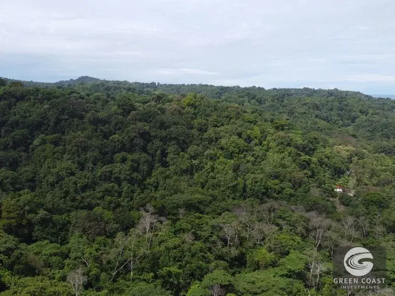 Prime 105-Acre Pavones Beachfront Development Land with Legendary Surf Views — view 8, Pavón, Golfito, Costa Rica