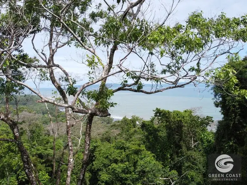 Prime 105-Acre Pavones Beachfront Development Land with Legendary Surf Views — view 11, Pavón, Golfito, Costa Rica