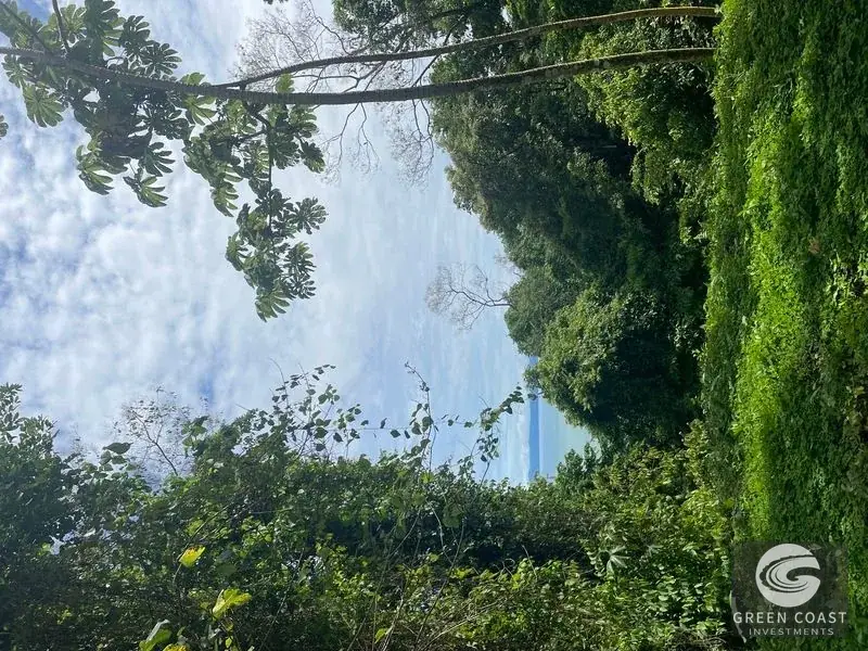 Prime 105-Acre Pavones Beachfront Development Land with Legendary Surf Views — view 14, Pavón, Golfito, Costa Rica