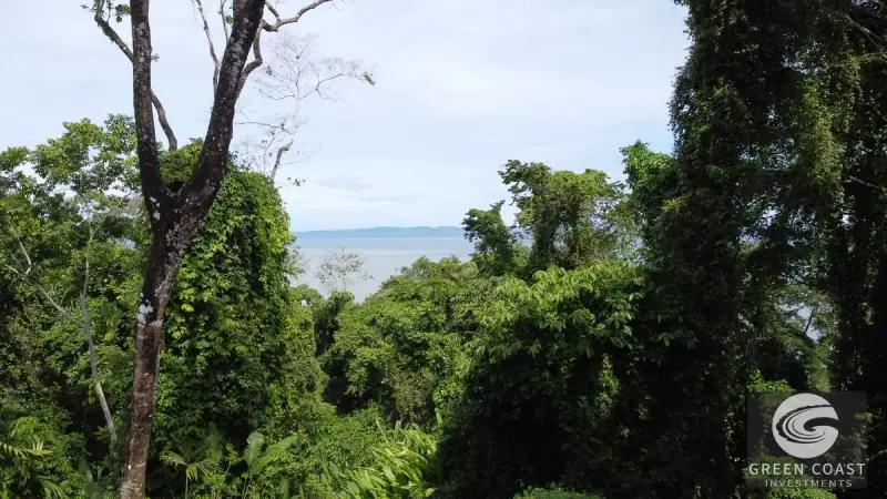 Prime 105-Acre Pavones Beachfront Development Land with Legendary Surf Views — view 23, Pavón, Golfito, Costa Rica