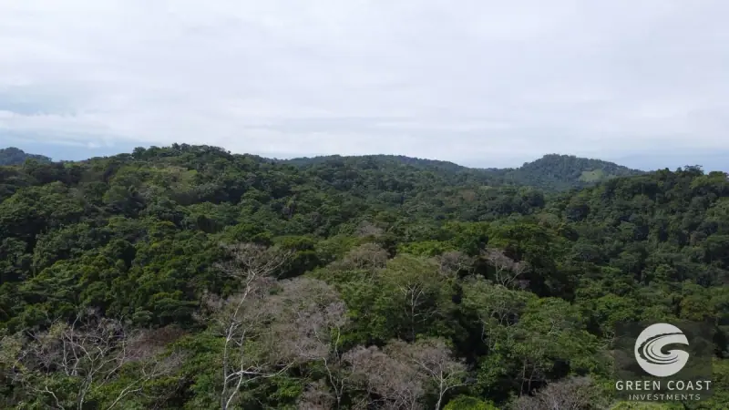 Prime 105-Acre Pavones Beachfront Development Land with Legendary Surf Views — view 26, Pavón, Golfito, Costa Rica