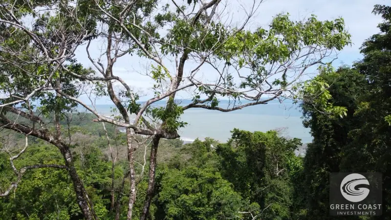 Prime 105-Acre Pavones Beachfront Development Land with Legendary Surf Views — view 30, Pavón, Golfito, Costa Rica