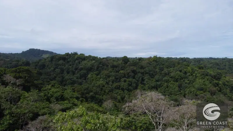 Prime 105-Acre Pavones Beachfront Development Land with Legendary Surf Views — view 32, Pavón, Golfito, Costa Rica