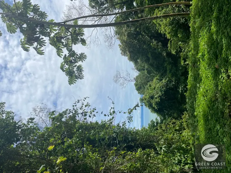 Prime 105-Acre Pavones Beachfront Development Land with Legendary Surf Views — view 33, Pavón, Golfito, Costa Rica