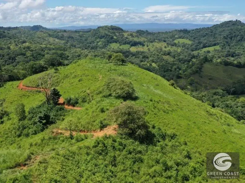Spacious 5-BR Tropical Estate with Pool & Expansive Gardens in San Isidro — view 31, San Isidro, Perez Zeledon, Costa Rica