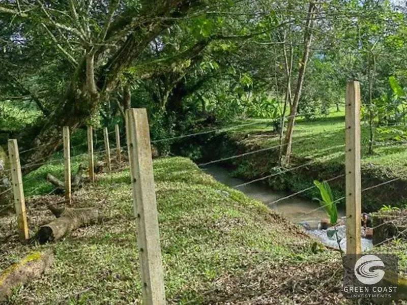 25-Acre Perez Zeledon Development Farm with Natural Lakes & River Boundary — view 2, Perez Zeledon, Costa Rica