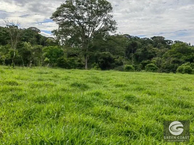 25-Acre Perez Zeledon Development Farm with Natural Lakes & River Boundary — view 4, Perez Zeledon, Costa Rica