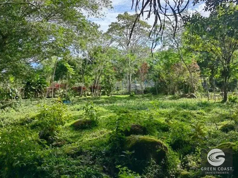 25-Acre Perez Zeledon Development Farm with Natural Lakes & River Boundary — view 5, Perez Zeledon, Costa Rica