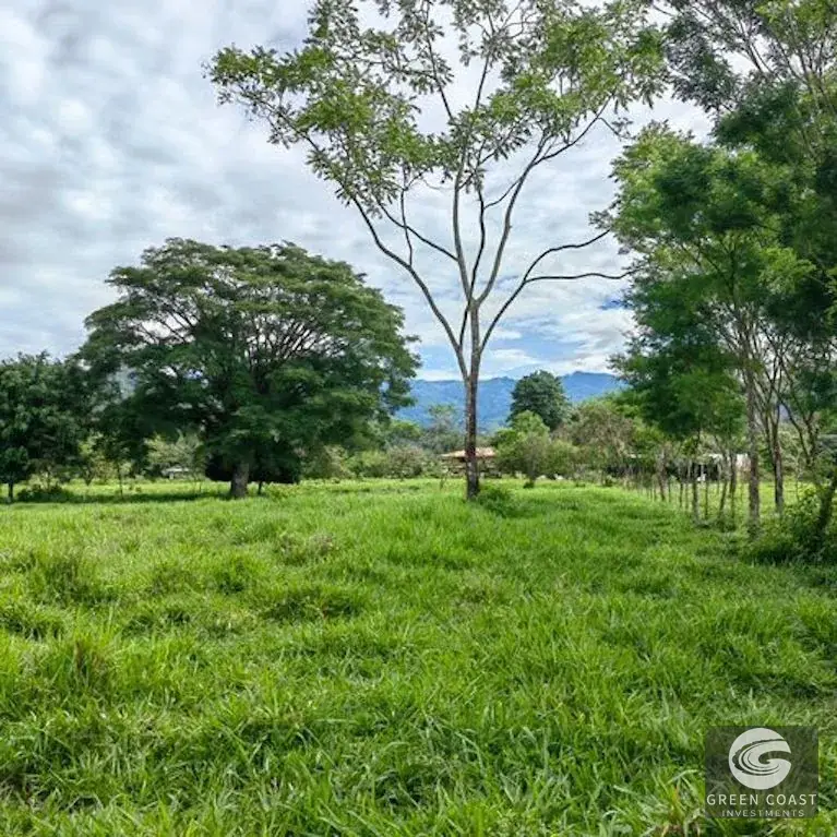 25-Acre Perez Zeledon Development Farm with Natural Lakes & River Boundary — view 18, Perez Zeledon, Costa Rica