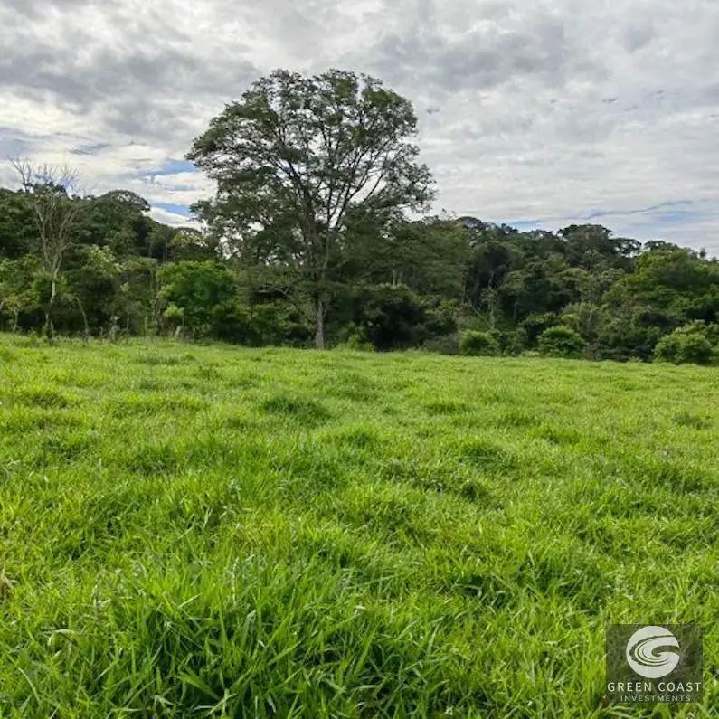 25-Acre Perez Zeledon Development Farm with Natural Lakes & River Boundary — view 19, Perez Zeledon, Costa Rica
