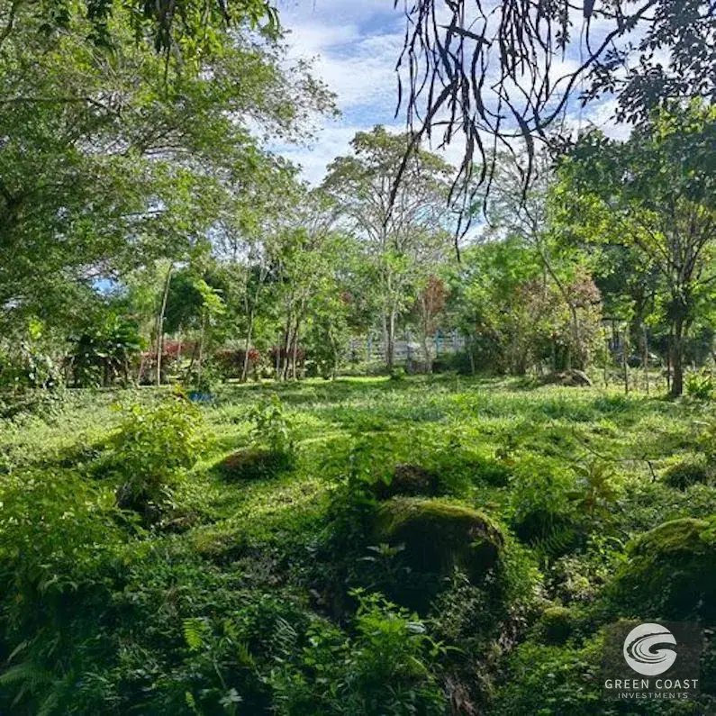 25-Acre Perez Zeledon Development Farm with Natural Lakes & River Boundary — view 20, Perez Zeledon, Costa Rica