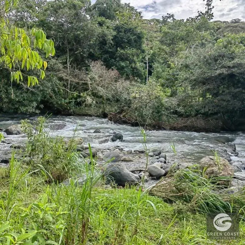 25-Acre Perez Zeledon Development Farm with Natural Lakes & River Boundary — view 21, Perez Zeledon, Costa Rica
