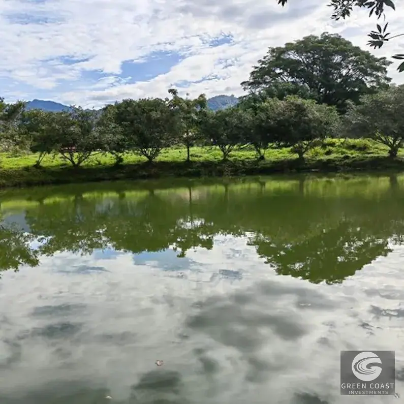 25-Acre Perez Zeledon Development Farm with Natural Lakes & River Boundary — view 22, Perez Zeledon, Costa Rica